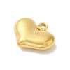 Ion Plating(IP) 304 Stainless Steel Charms STAS-S131-12G-2
