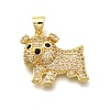 Rack Plating Brass Micro Pave Cubic Zirconia Enamel Pendants KK-L226-032G-02-1
