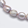 Natural Cultured Freshwater Pearl Beads Strands X-PEAR-K003-19B-3