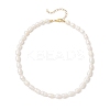 Natural Cultured Freshwater Pearl Rice Beaded Necklaces for Women NJEW-JN05337-01-2