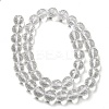 Natural Quartz Crystal Beads Strands G-C079-B06-03-3