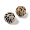 Natural Dalmatian Jasper No Hole Sphere Beads G-K353-04D-16-2