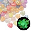 Luminous Transparent Acrylic Beads LACR-S001-14E-1