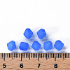 Frosted Acrylic Beads LS-MACR-S373-61K-06-4