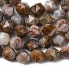 Natural Gobi Agate Beads Strands G-Z119-A36-02-5
