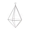 Iron Plant Hangers IFIN-N012-02P-1
