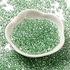 Baking Glass Seed Beads SEED-K009-07A-04-2