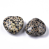 Natural Dalmatian Jasper Healing Stones G-R418-26-2-3