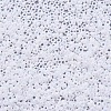 MIYUKI Round Rocailles Beads SEED-X0054-RR0471-3
