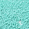 Baking Paint Glass Seed Beads SEED-H002-I-A525-3