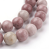 Natural Rhodonite Beads Strands G-G099-10mm-33-3
