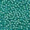 TOHO Round Seed Beads X-SEED-TR08-0954-2