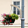 Wooden Wall Mounted Hanging Plant Hooks WOOD-WH0034-53-5