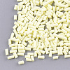 Handmade Polymer Clay Sprinkles CLAY-T015-22N-1