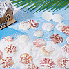 500G Natural Shell Ornaments DJEW-FH0001-35A-4