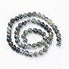 Natural Moss Agate Beads Strands X-GSR6mmC001-3