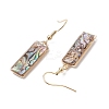 Natural Paua Shell Dangle Earrings EJEW-JE06274-05-4