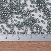 MIYUKI Delica Beads X-SEED-J020-DB0697-4