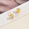 Star Brass Stud Earrings MO5504-5
