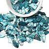 Dyed Natural Mother of Pearl Shell Nuggets Chips Beads BSHE-O007-10A-1