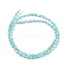 Natural Trochus Shell Beads Strands SHEL-K006-19D-2