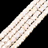AB Color Plate Glass Beads Strands EGLA-P051-06A-B03-1
