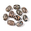 Tibetan Style dZi Beads TDZI-N001-009-1