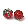 Handmade Lampwork Beads LA-CBAE4A5-01B-4