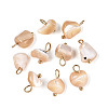 Natural Trochus Shell Nuggets Charms STAS-D378-36G-1