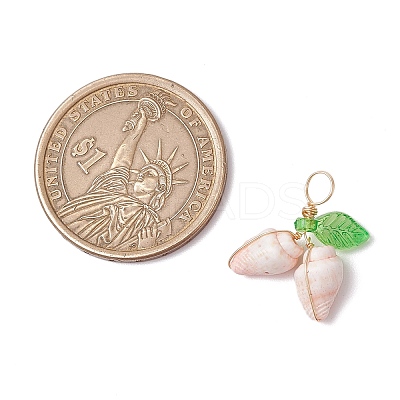 12Pcs 4 Styles Natural Sea Shell Copper Wire Wrapped Pendants PALLOY-JF03611-1