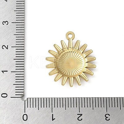 304 Stainless Steel Pendants LS-STAS-E501-17G-1
