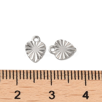 Non-Tarnish 304 Stainless Steel Charms STAS-C080-03P-1