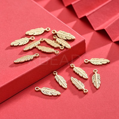 Tibetan Style Alloy Charms TIBEP-S317-10MG-NR-1