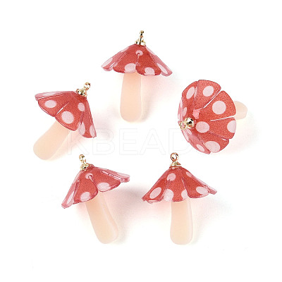 Plastic Pendants KY-N015-118B-01-1