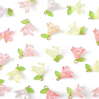 50Pcs Transparent Acrylic Pendants PALLOY-FS00043-04-1