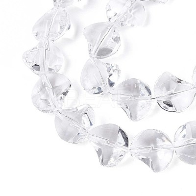 Baking Paint Transparent Glass Beads Strands DGLA-N017-03J-1