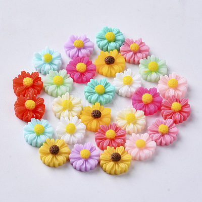 Resin Cabochons CRES-S306-014B-1
