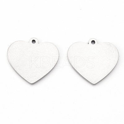 Tarnish Resistant 201 Stainless Steel Charms STAS-N092-72-1