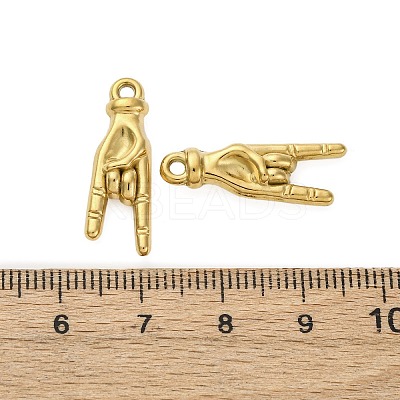 304 Stainless Steel Pendants STAS-Z142-12G-1