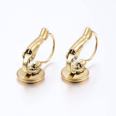 Ion Plating(IP) 304 Stainless Steel Leverback Earring Findings X-STAS-H425-02G-1