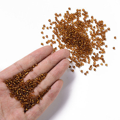 8/0 Glass Seed Beads X1-SEED-A005-3mm-22C-1