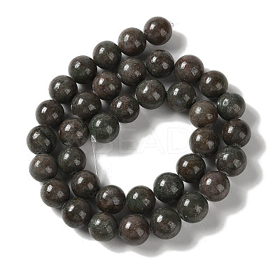 Natural Red Green Jasper Beads Strands G-P530-B03-04-1