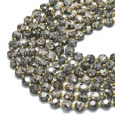 Natural Fluorescent Syenite Rock(Glow under UV Light) Beads Strands G-C116-A18-02-1