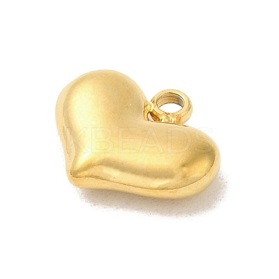 Ion Plating(IP) 304 Stainless Steel Charms STAS-S131-12G-1