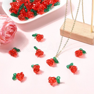 Transparent Acrylic Pendants MACR-CJC0004-44-1