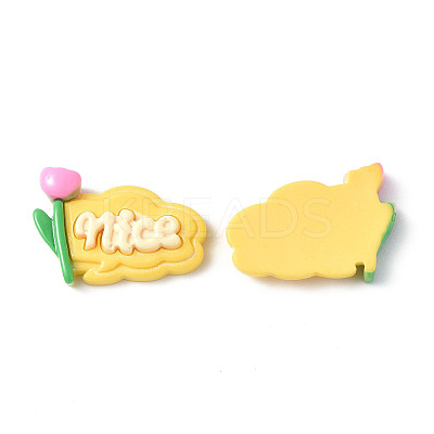 Opaque Resin Cabochons LS-CRES-P023-01B-1