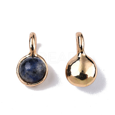 Natural Blue Spot Jasper Charms G-N326-141A-1