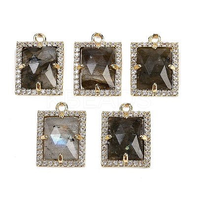 Natural Mixed Gemstone Faceted Rectangle Pendants G-I375-05G-1