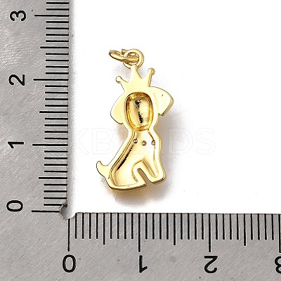 Brass Micro Pave Clear Cubic Zirconia Pendants KK-F899-02B-G-1