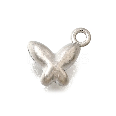 304 Stainless Steel Charms LS-STAS-D310-06P-04-1